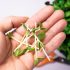 Hand holding microgreens