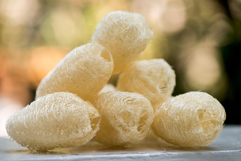 Natural loofahs