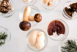 mushrooms in bowls